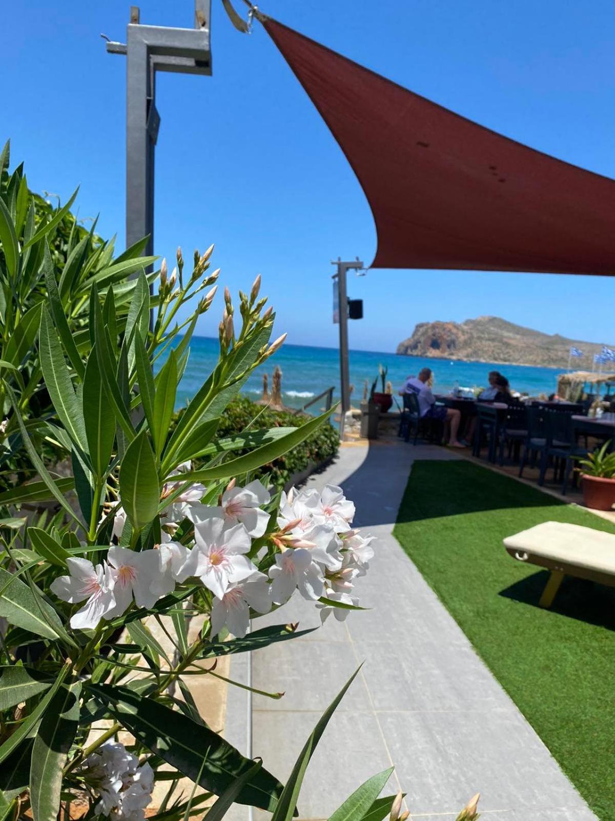 Litinakis Studios Sea View & Litinakis Studios Garden View 700 Meters Away Agia Marina 外观 照片